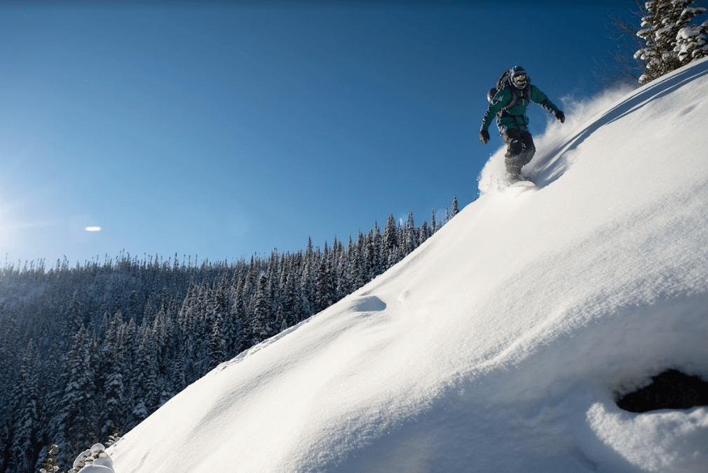 MIEUX COMPRENDRE LES SHAPES DE PLANCHE À NEIGE - Boutique Homies