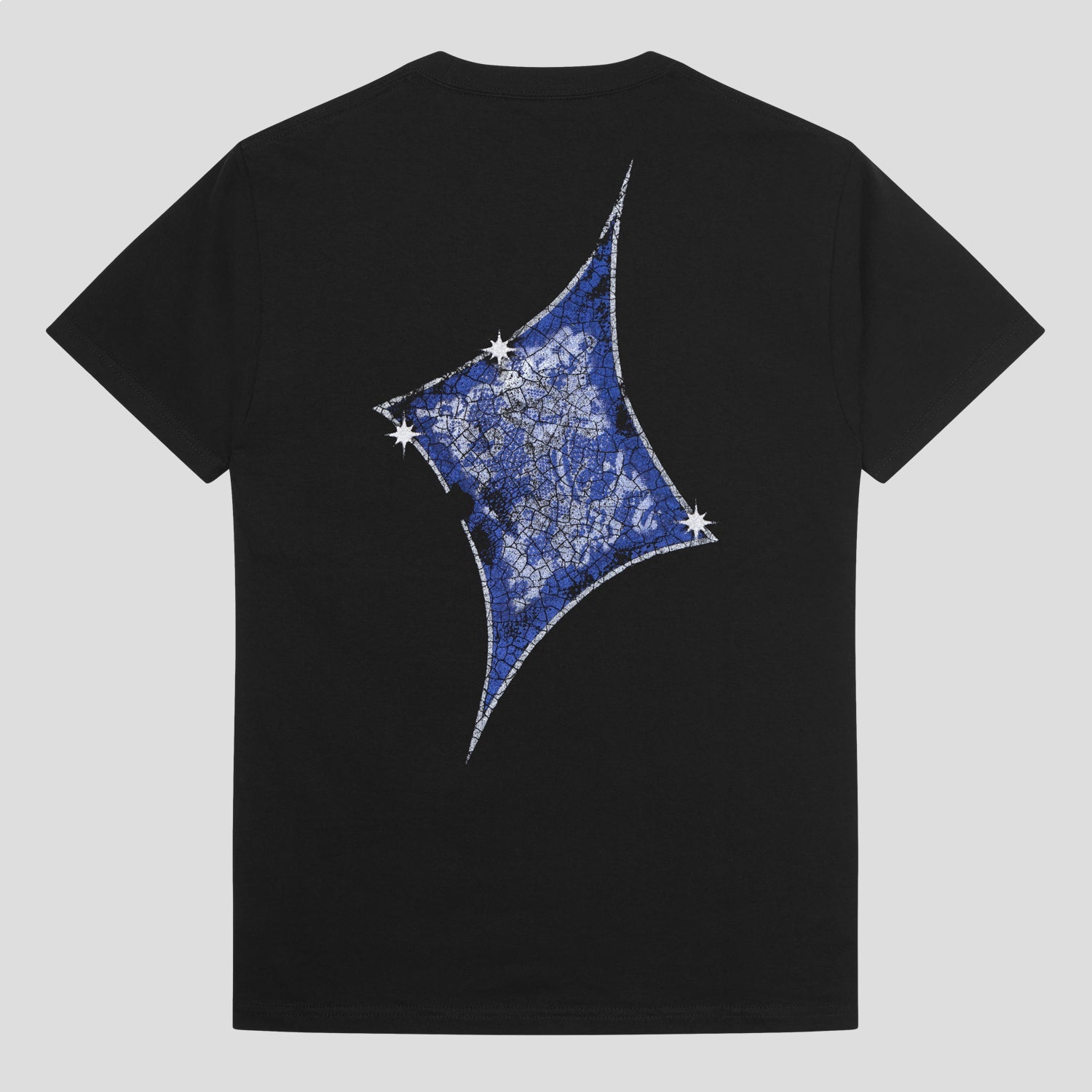 PASSPORT GLINT TEE