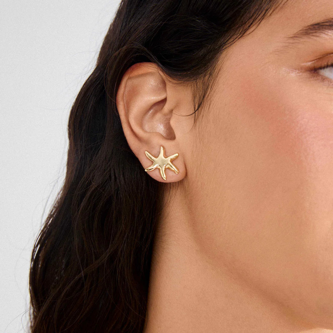 PILGRIM PRISM EARRINGS