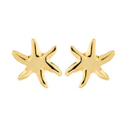 PILGRIM PRISM EARRINGS