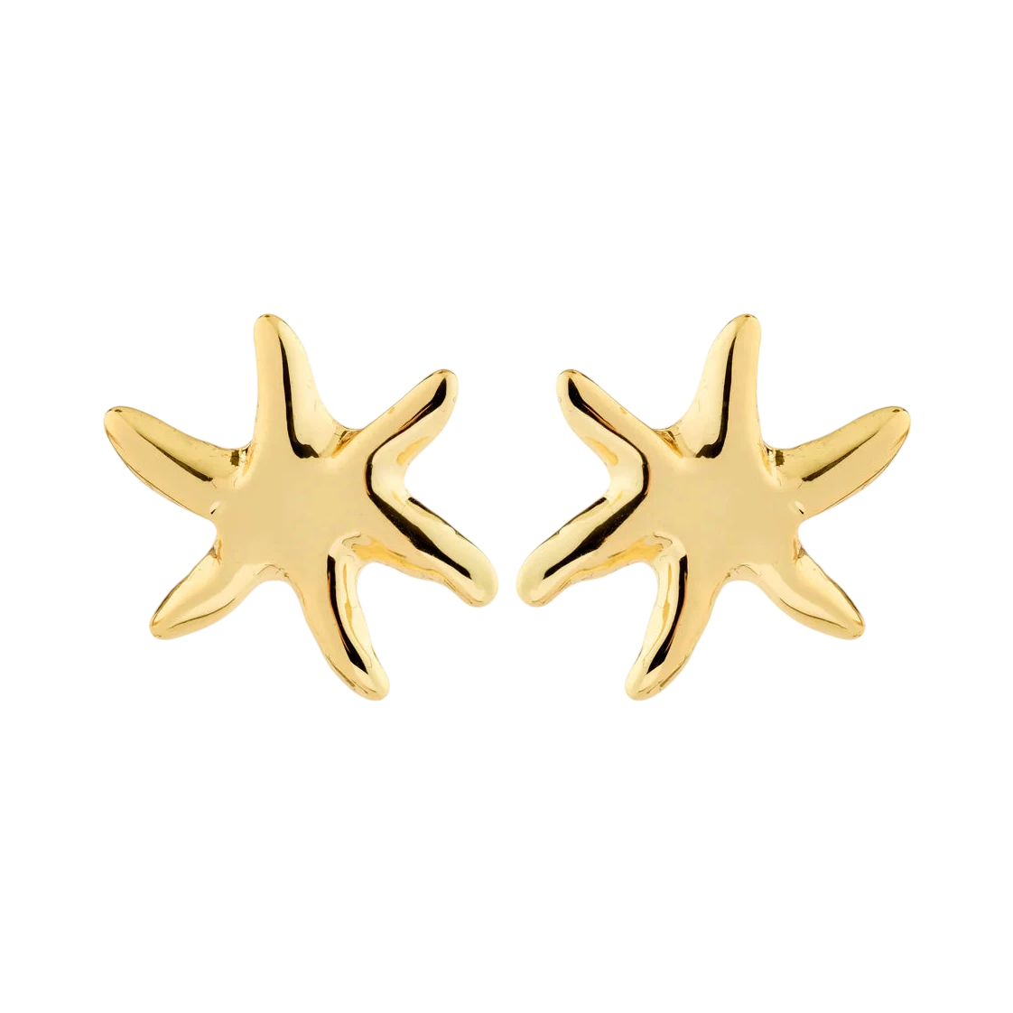 PILGRIM PRISM EARRINGS