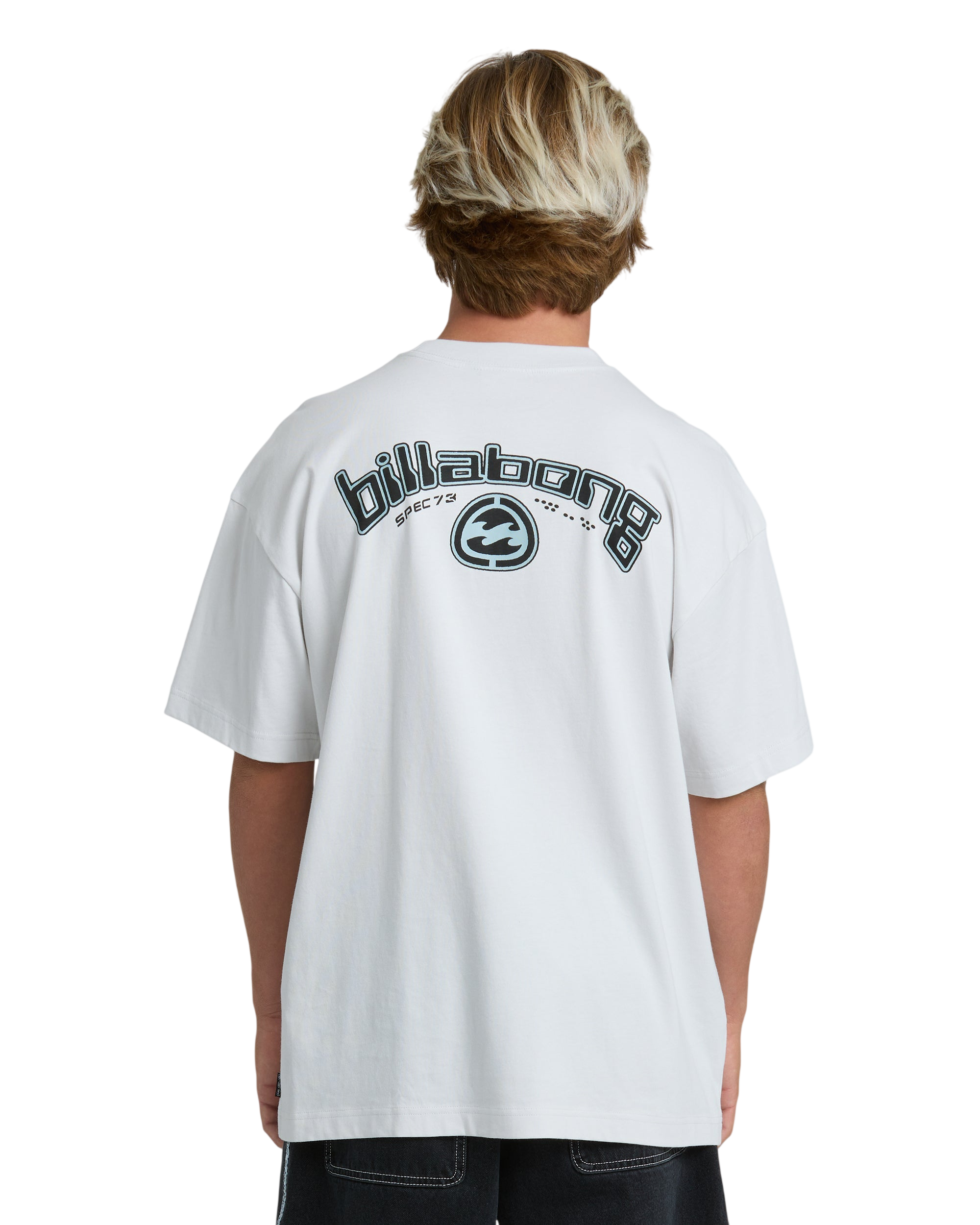 BILLABONG SPEC 73 BIO ARCH OG T-SHIRT - Fog Gray - Dos