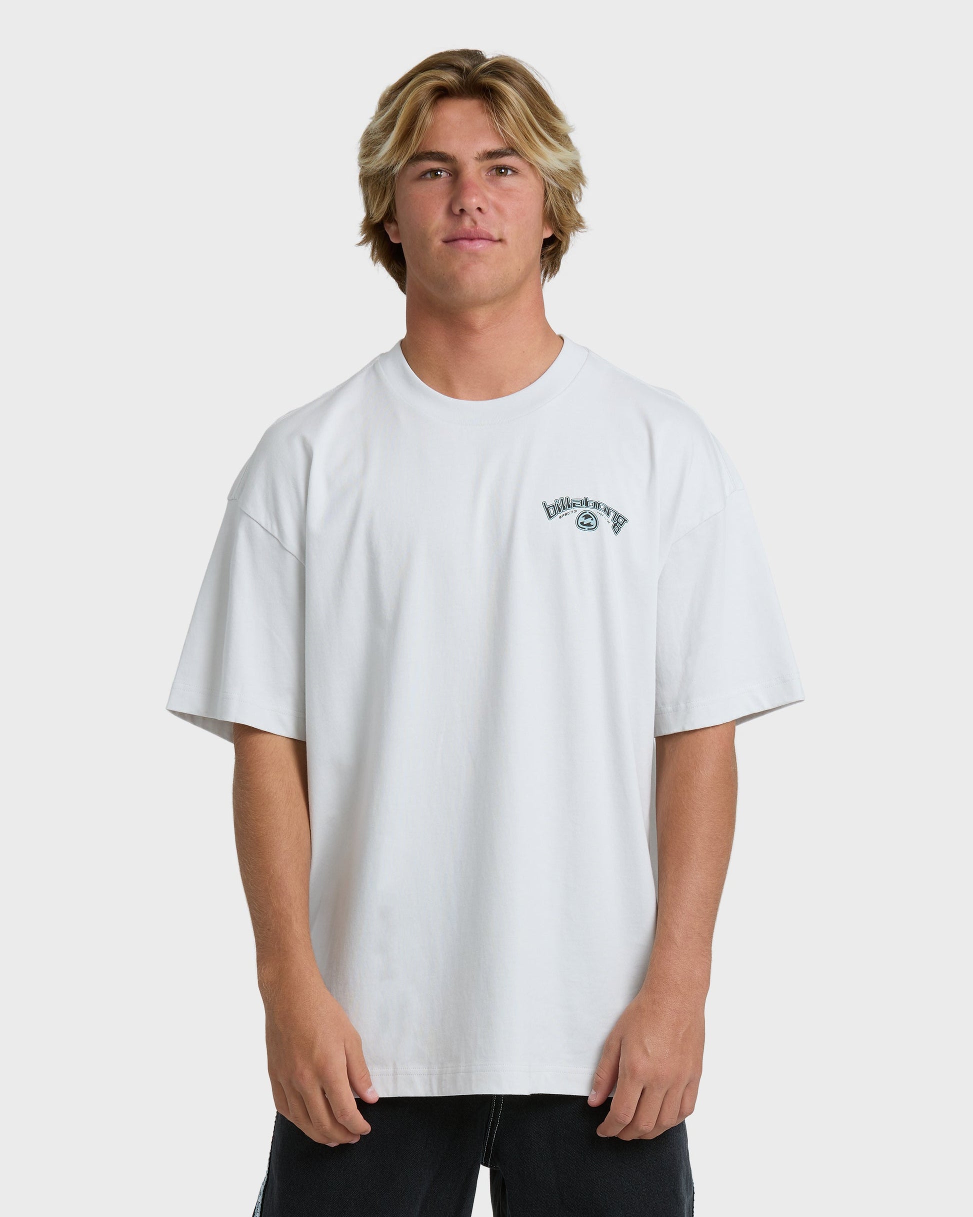 BILLABONG SPEC 73 BIO ARCH OG T-SHIRT - Fog Gray - Face