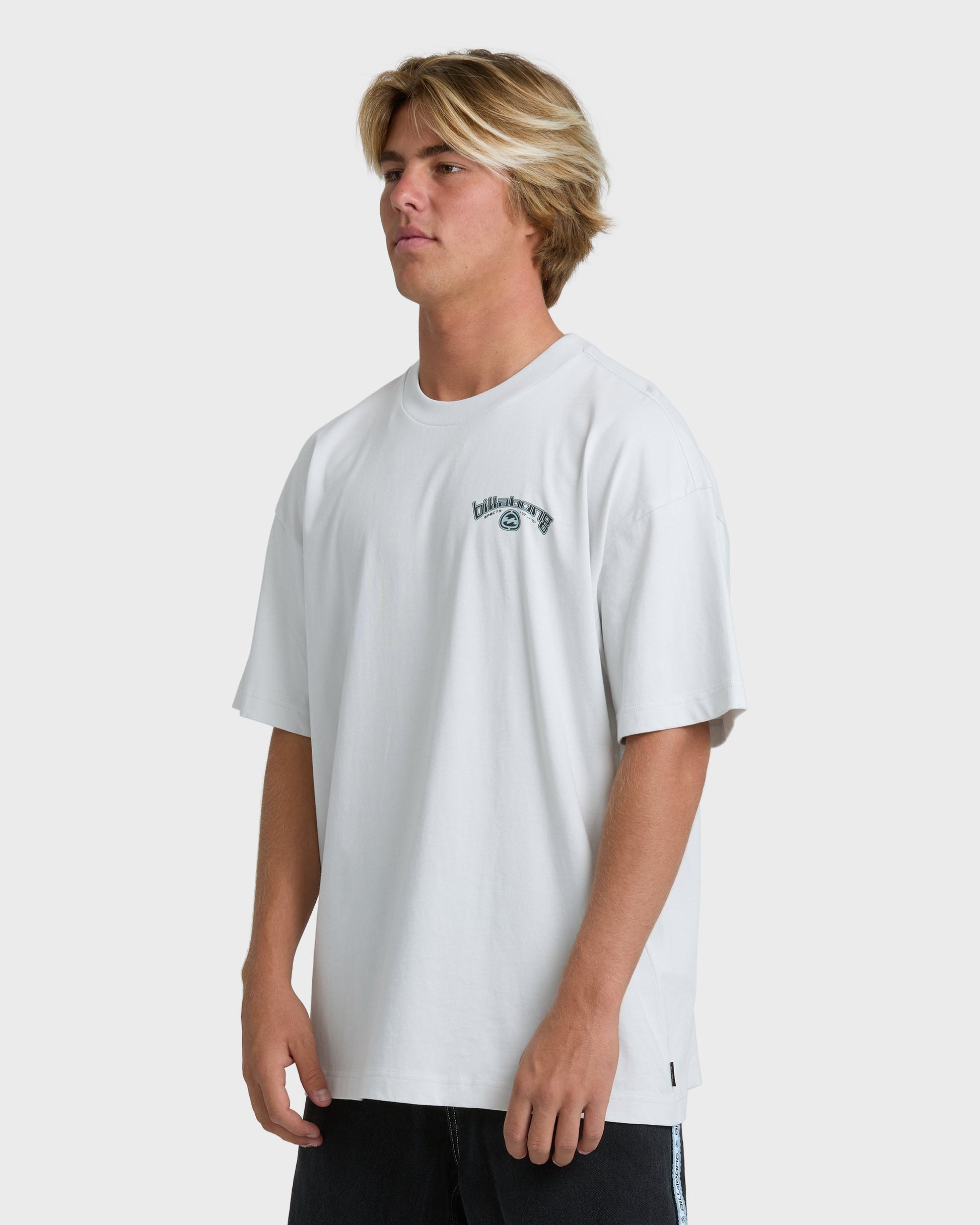 BILLABONG SPEC 73 BIO ARCH OG T-SHIRT - Fog Gray - Côté