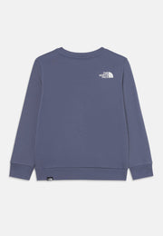 THE NORTH FACE W EVOLUTION SIMPLE DOME OVERSIZED CREW