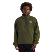THE NORTH FACE FLEESKI 1/4 ZIP PULLOVER
