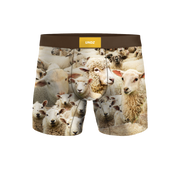 UNDZ BIN OF SHEEP 