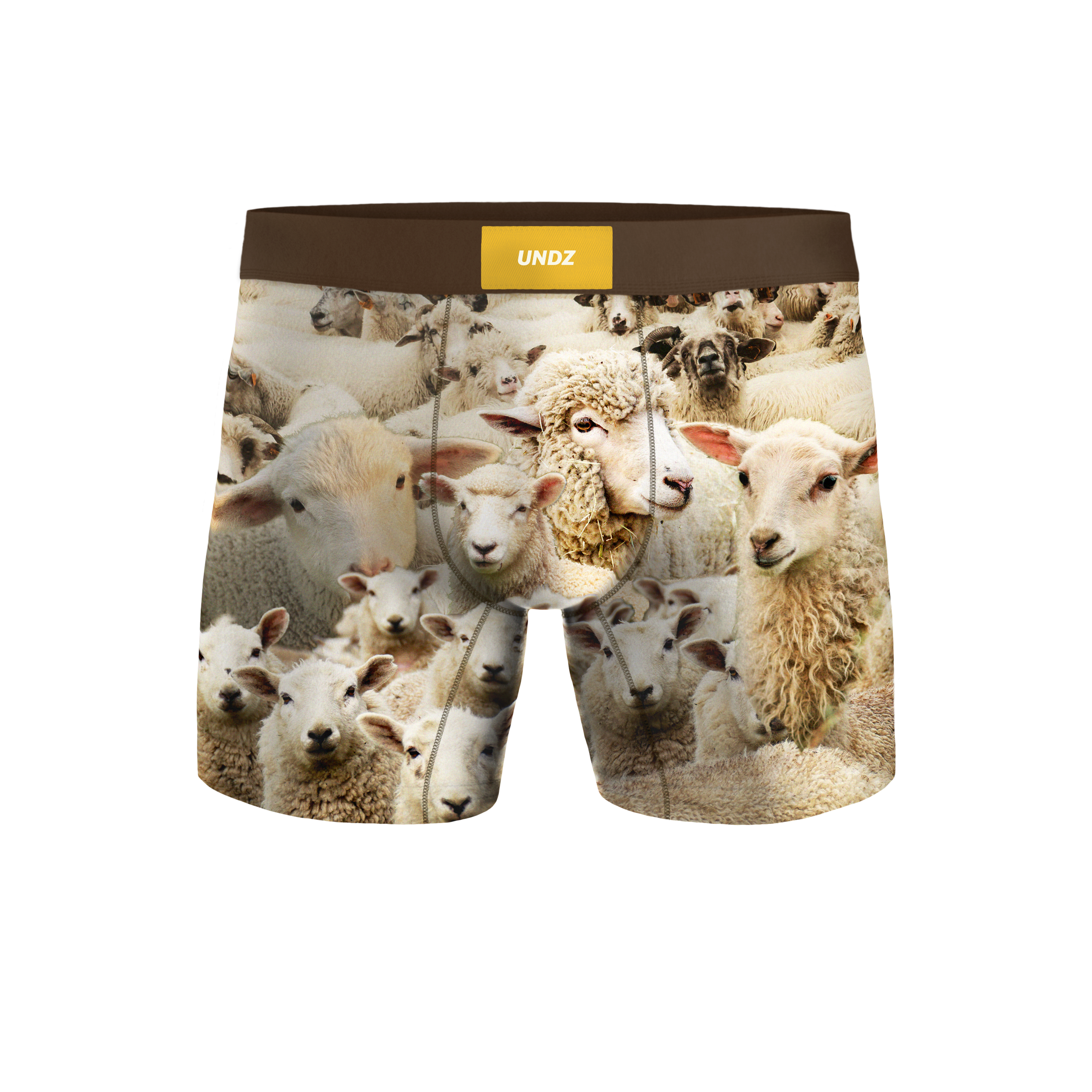 UNDZ BIN DES MOUTONS
