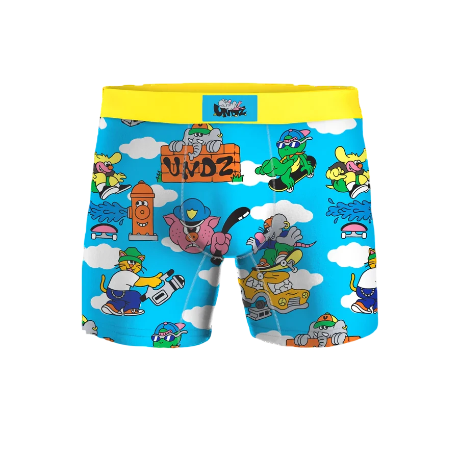 Homies Boxer UNDZ DAY SKATER BLUE – Boutique Homies