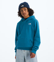 THE NORTH FACE Y EVOLUTION EMB PULLOVER HOODIE