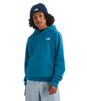 THE NORTH FACE Y EVOLUTION EMB PULLOVER HOODIE
