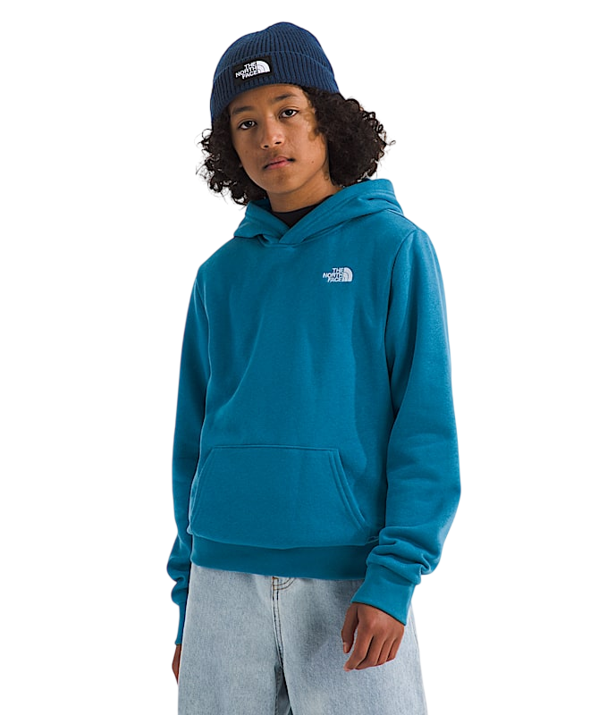THE NORTH FACE Y EVOLUTION EMB PULLOVER HOODIE