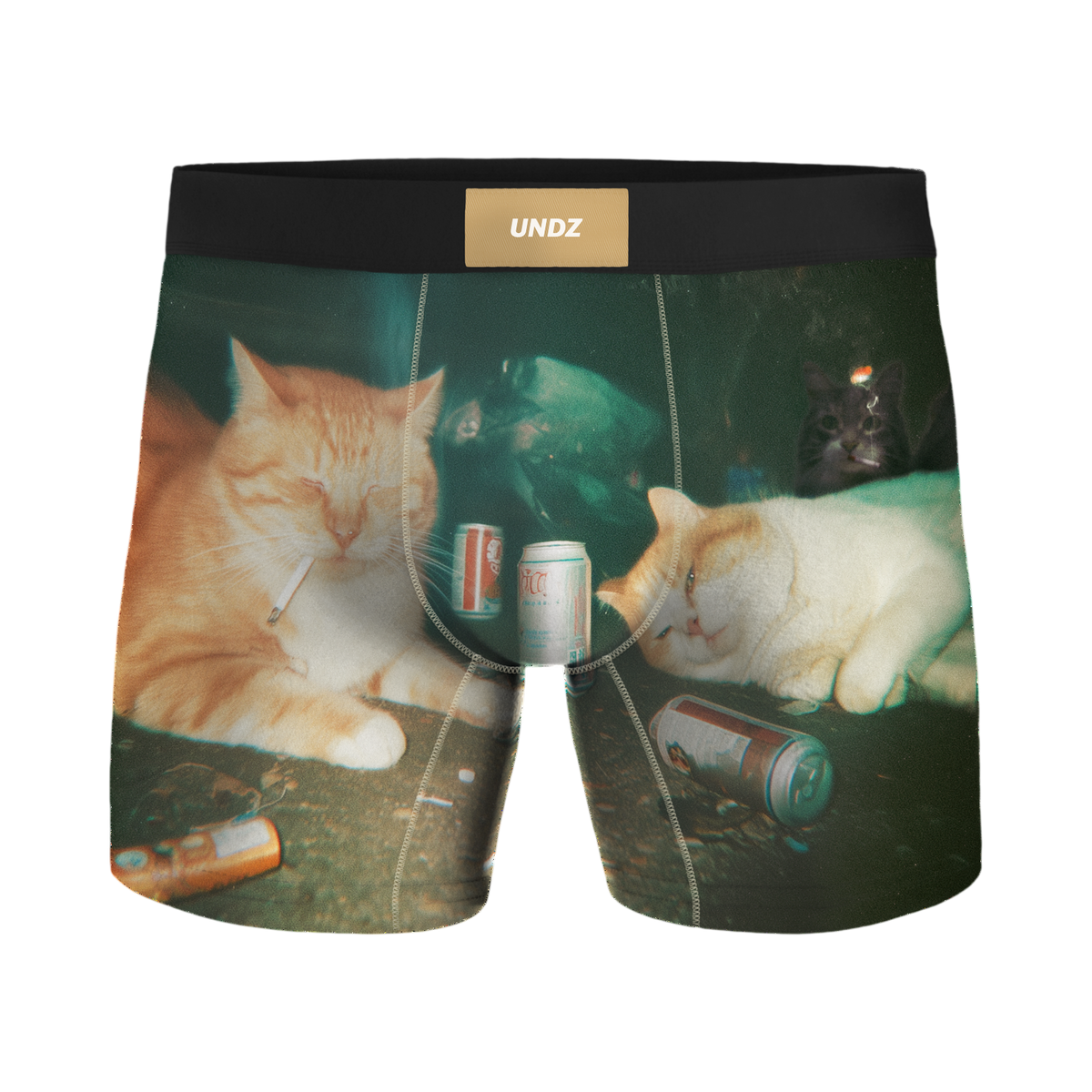 UNDZ CHATS ET CLOPE