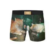 UNDZ CHATS ET CLOPE
