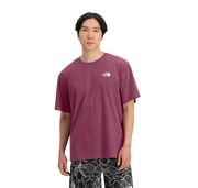 THE NORTH FACE S/S EVOLUTION BOX FIT TEE