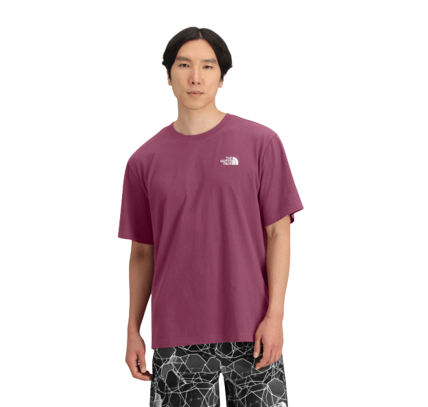THE NORTH FACE S/S EVOLUTION BOX FIT TEE