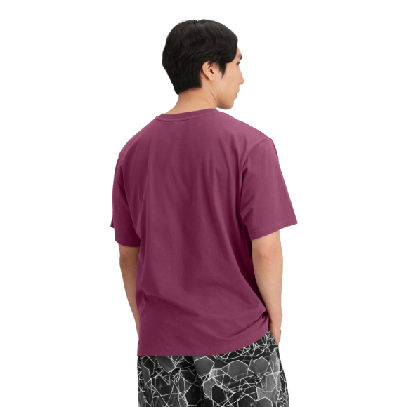 THE NORTH FACE S/S EVOLUTION BOX FIT TEE