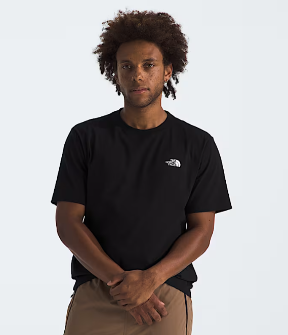 THE NORTH FACE EVOLUTION BOX NSE SHORT SLEEVE TEE 