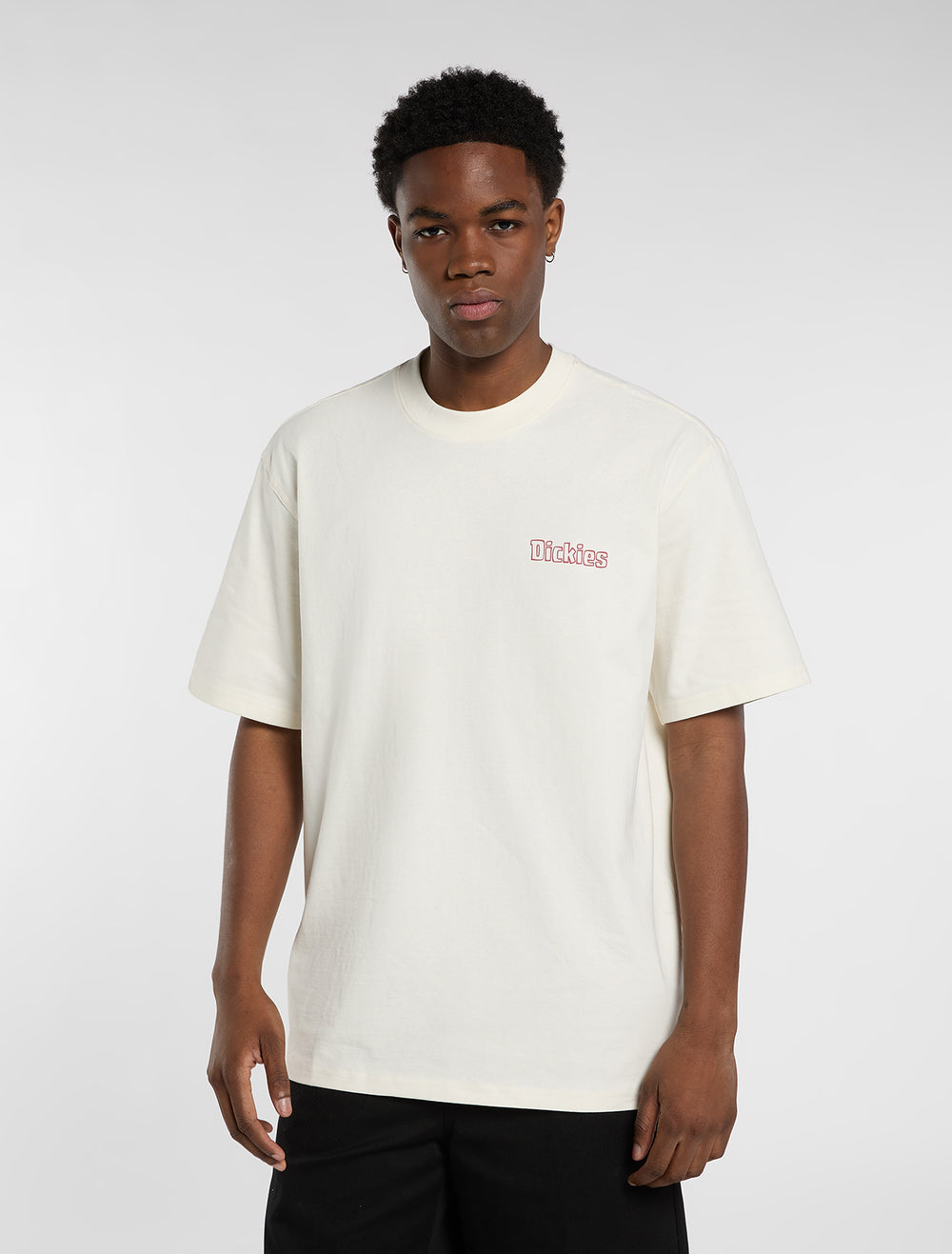 DICKIES FAIRLAWN S/S TEE