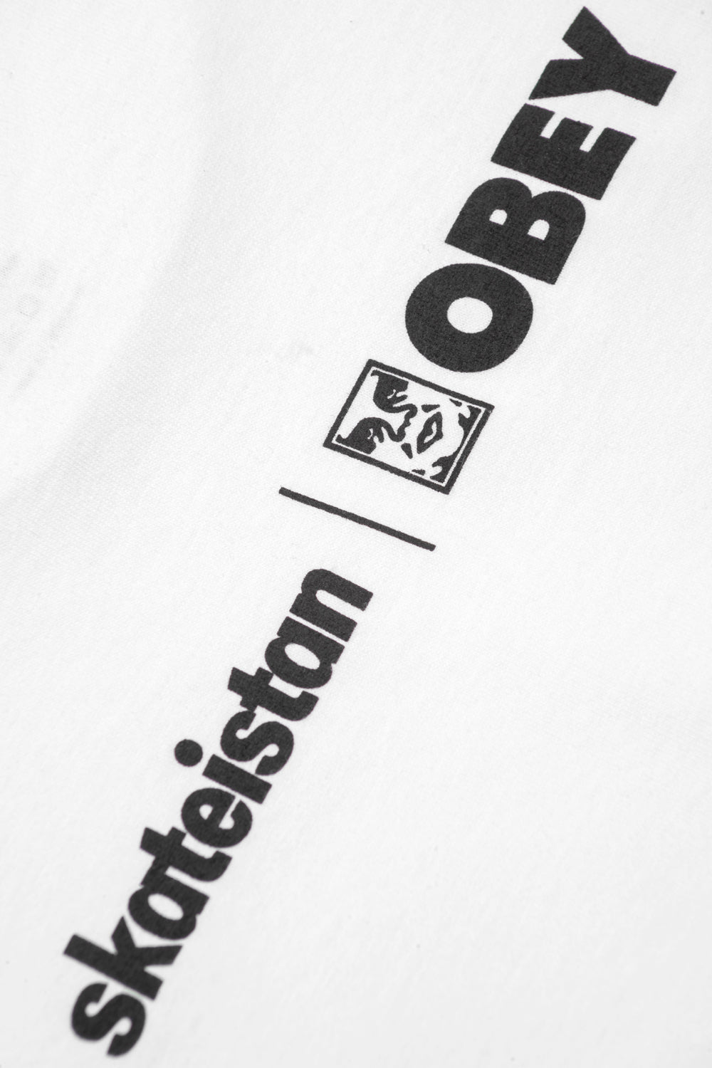 OBEY SKATEISTAN / OBEY PHOTO TEE