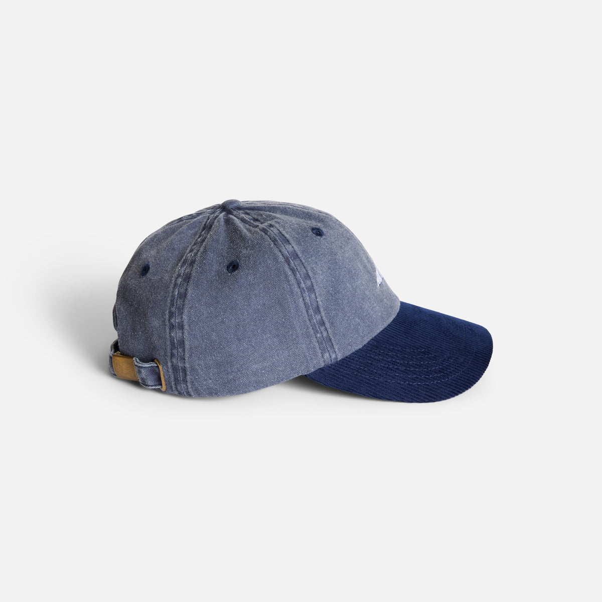 AUTUMN PREWASHED CANVAS STRAPBACK