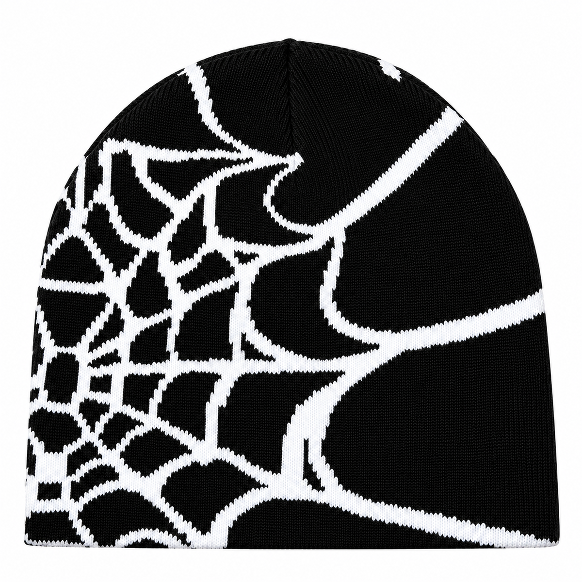 HOMIES WEB BEANIE