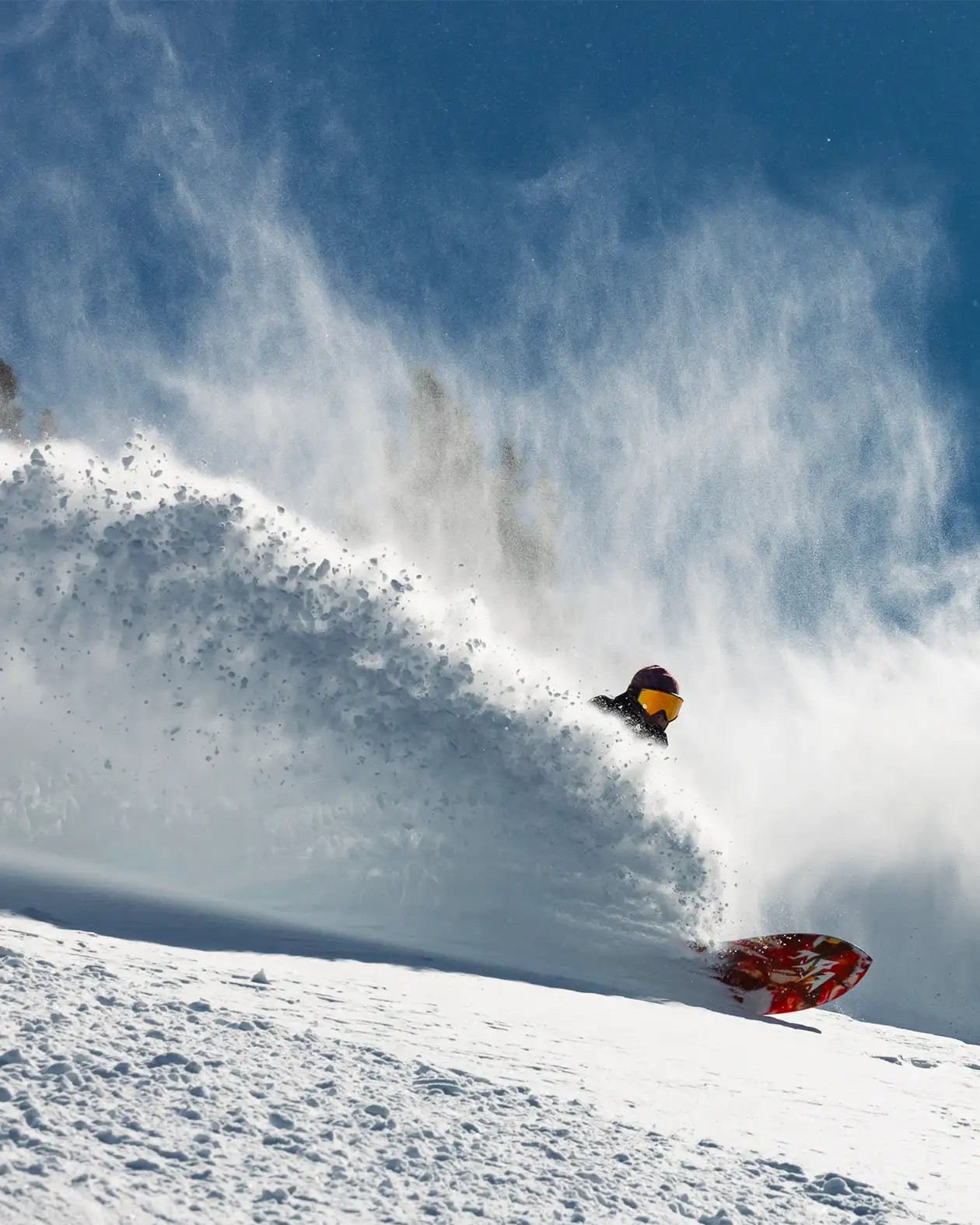 JONES MERCURY FASE® BINDINGS
