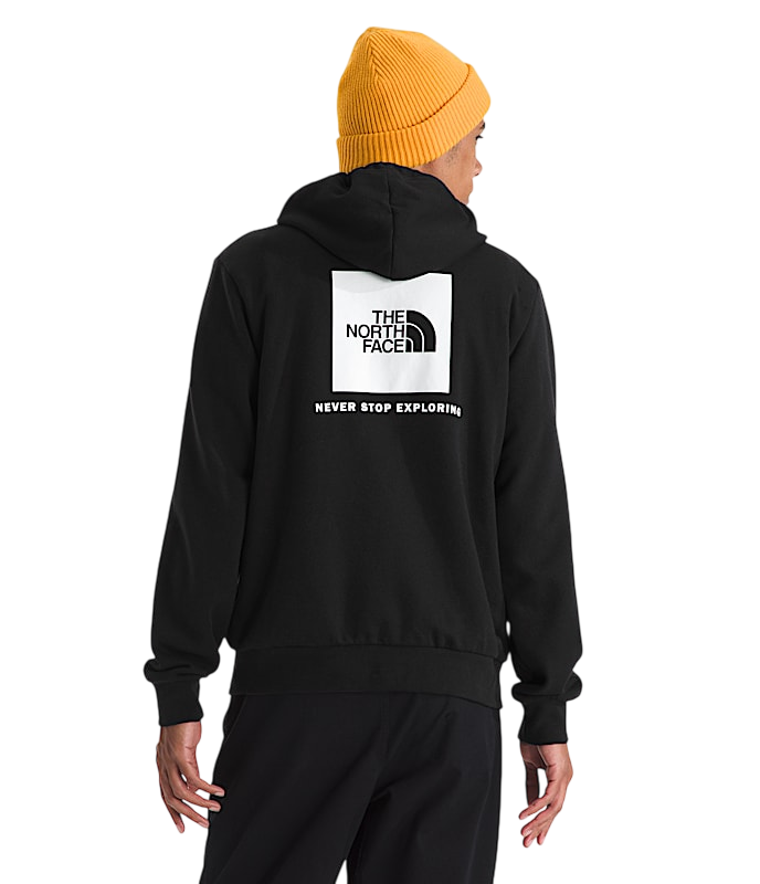 THE NORTH FACE EVOLUTION BOX NSE REGULAR HOODIE