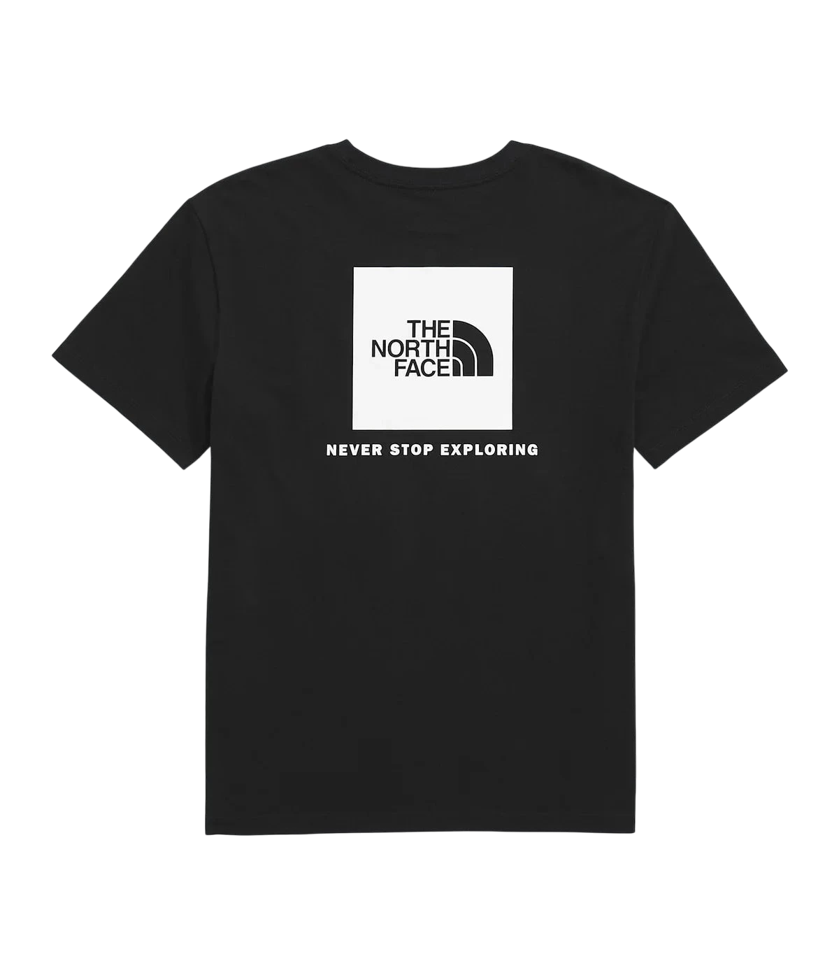 THE NORTH FACE W EVOLUTION BOX NSE SHORT SLEEVE TEE 