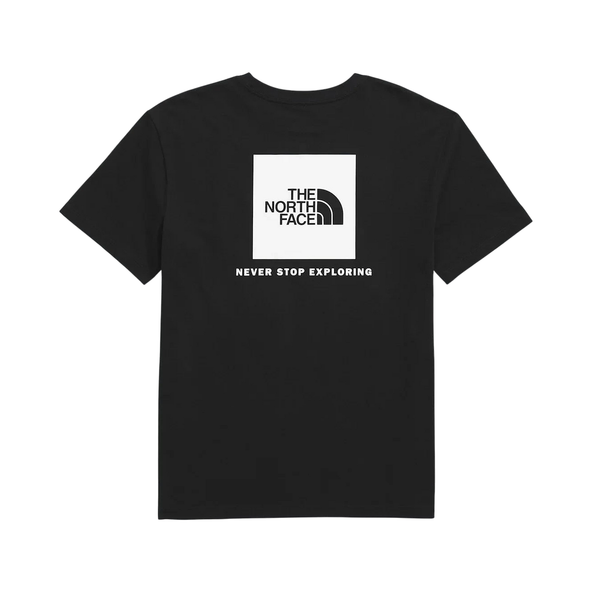 THE NORTH FACE W EVOLUTION BOX NSE SHORT SLEEVE TEE 