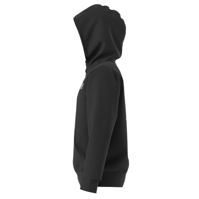 THE NORTH FACE Y EVOLUTION BOX NSE PULLOVER HOODIE