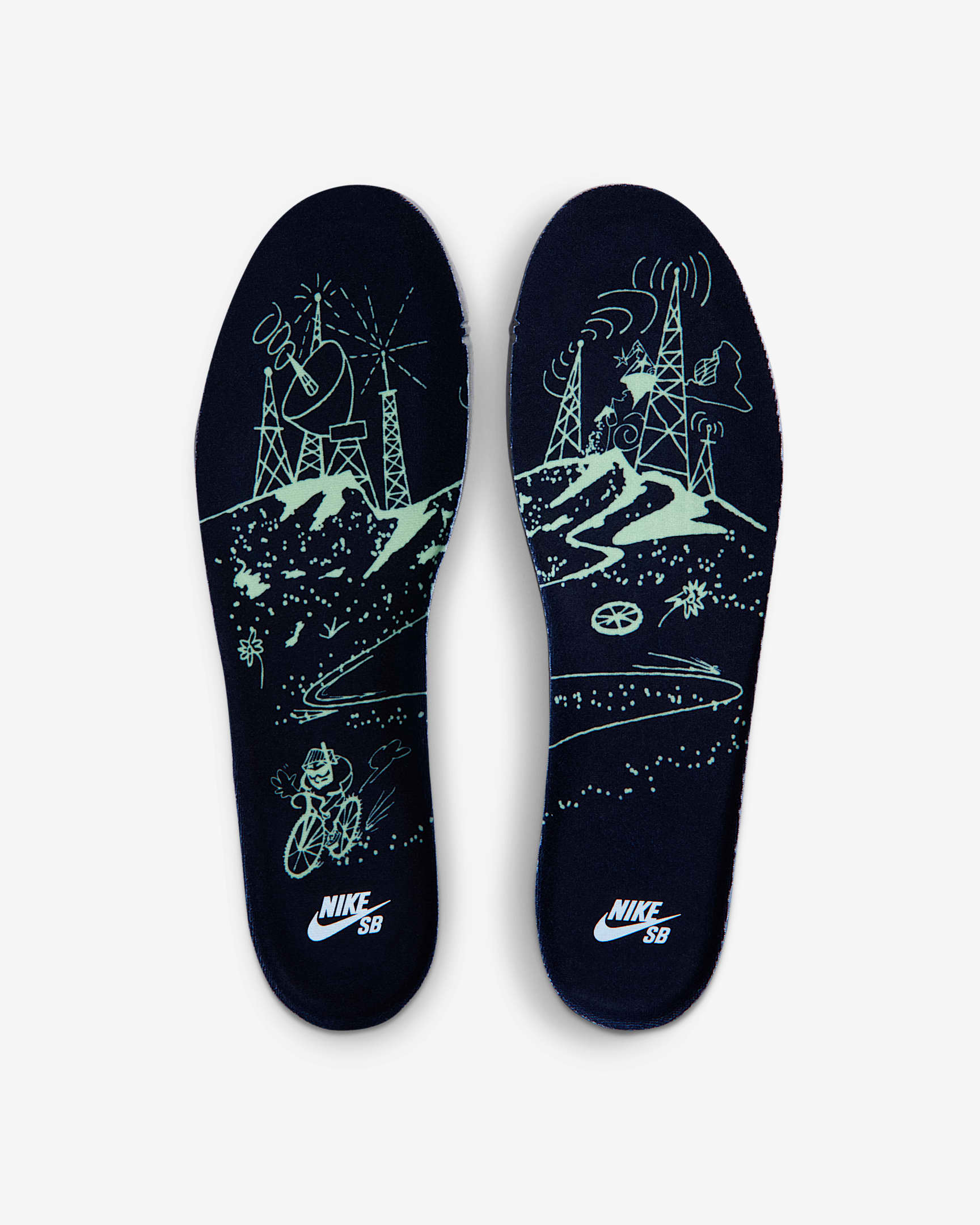 NIKE SB DUNK LOW PRO PREMIUM