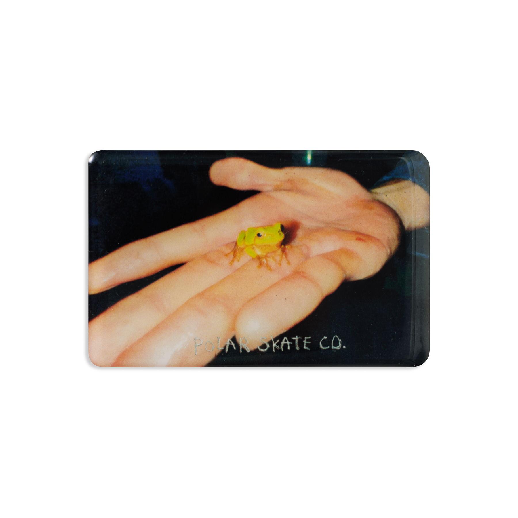 POLAR MAGNET - FROG