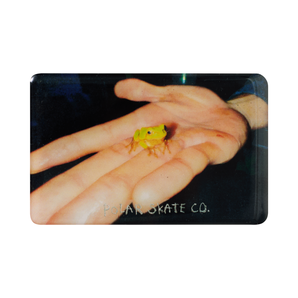 POLAR MAGNET - FROG