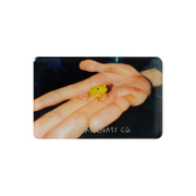 POLAR MAGNET - FROG