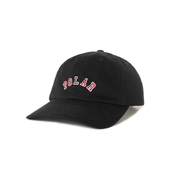 POLAR SAI CAP COLLEGE LOGO 