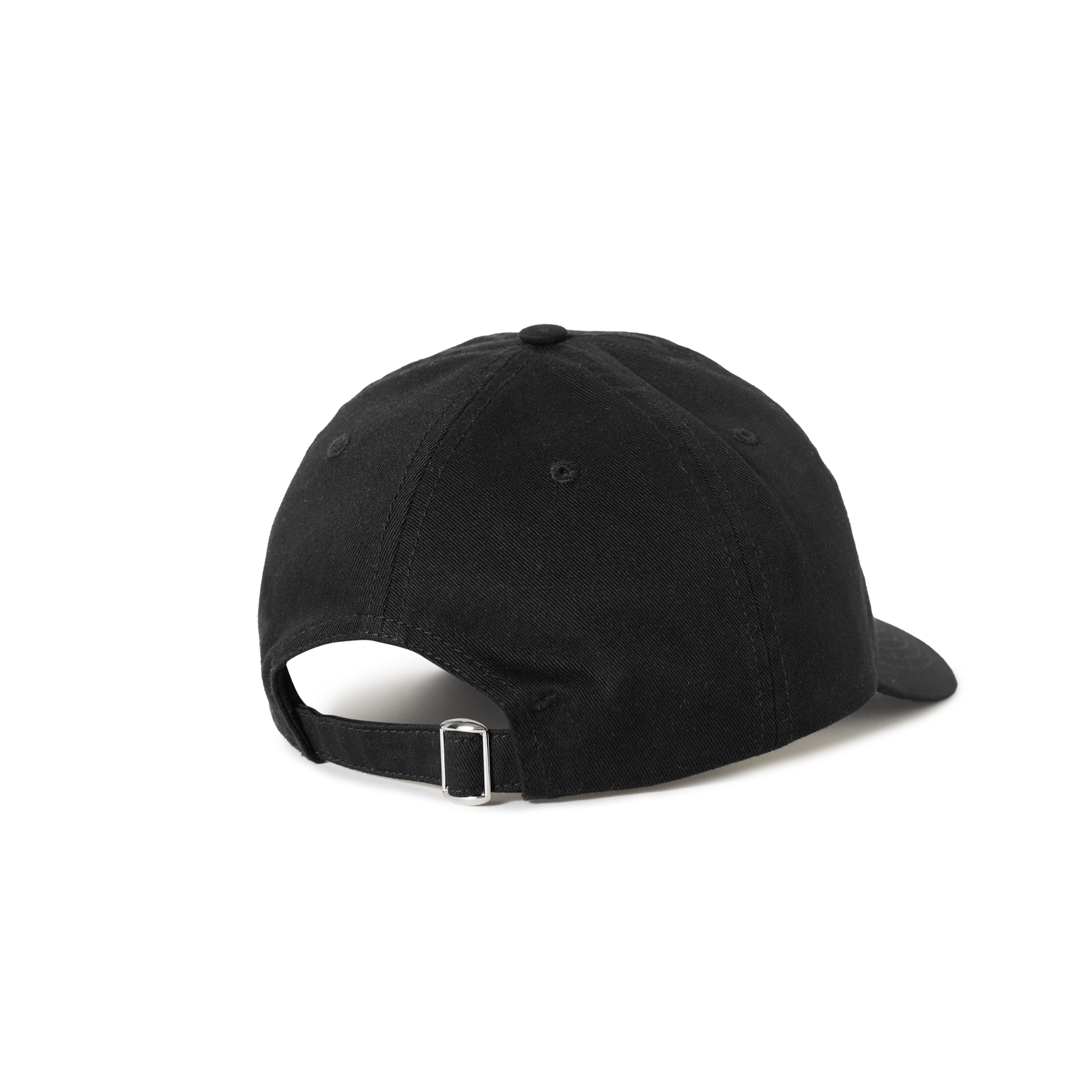 POLAR SAI CAP COLLEGE LOGO 