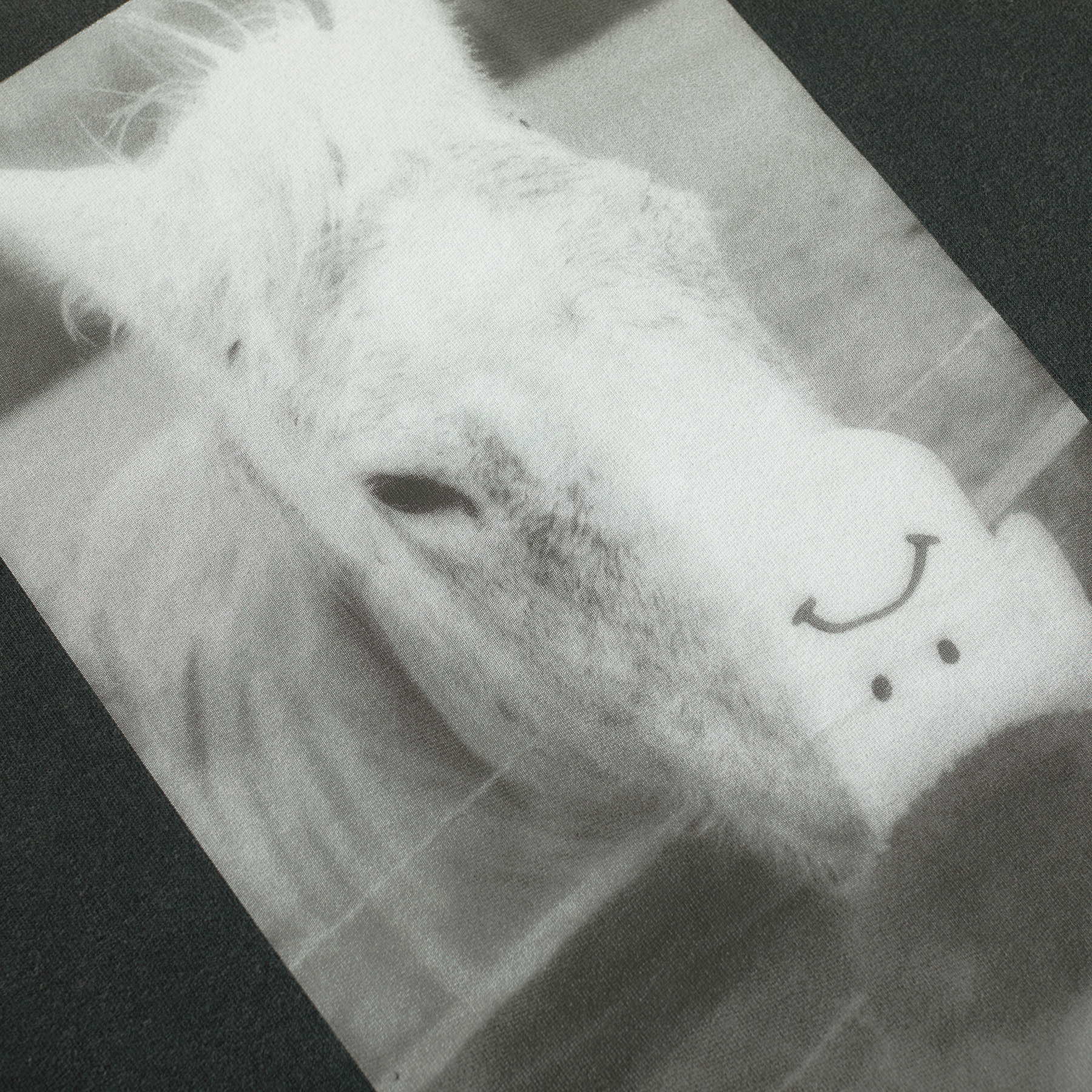 POLAR HORSE HAND TEE 