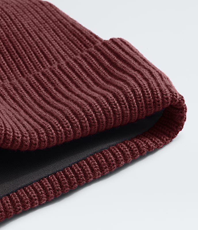 THE NORTH FACE SALTY BAE LINED BEANIE