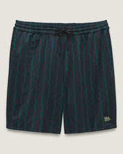 VANS SKATE LOOSE SPORT SHORTS 