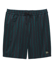 VANS SKATE LOOSE SPORT SHORTS