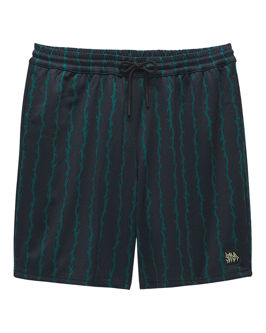 VANS SKATE LOOSE SPORT SHORTS