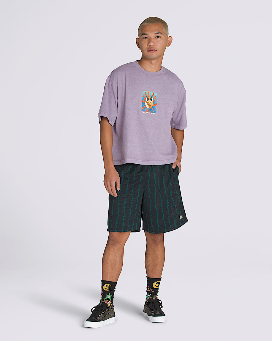 VANS SKATE LOOSE SPORT SHORTS
