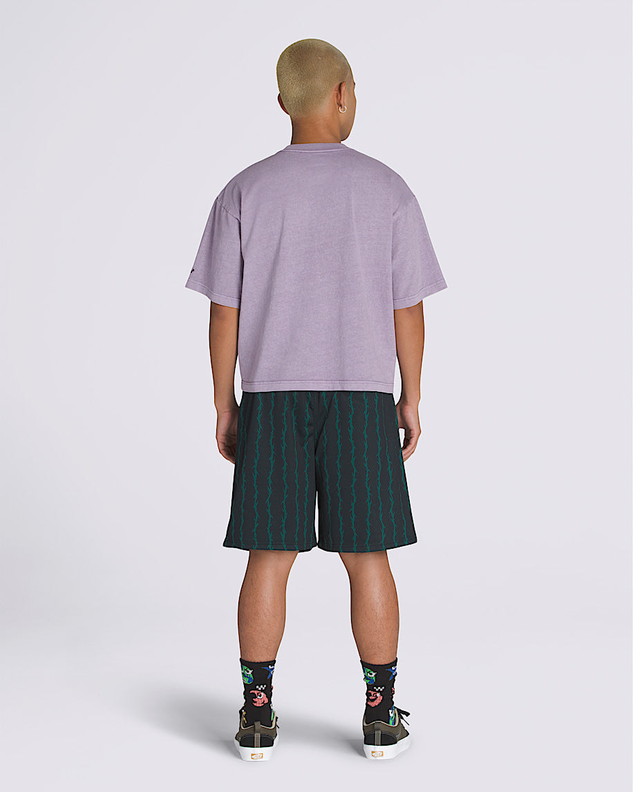 VANS SKATE LOOSE SPORT SHORTS