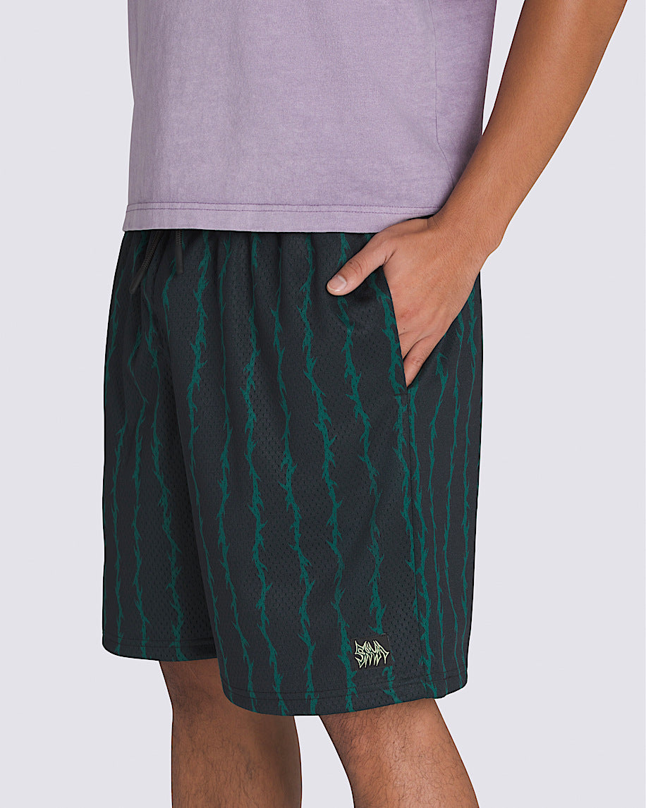 VANS SKATE LOOSE SPORT SHORTS