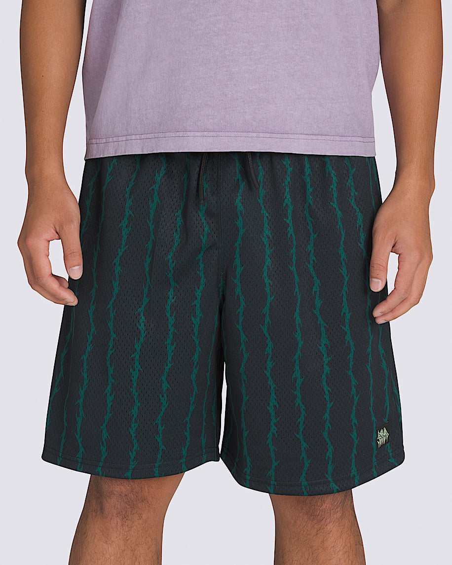 VANS SKATE LOOSE SPORT SHORTS