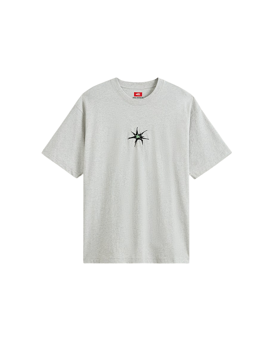 VANS SKATE SPLATTER SS TEE