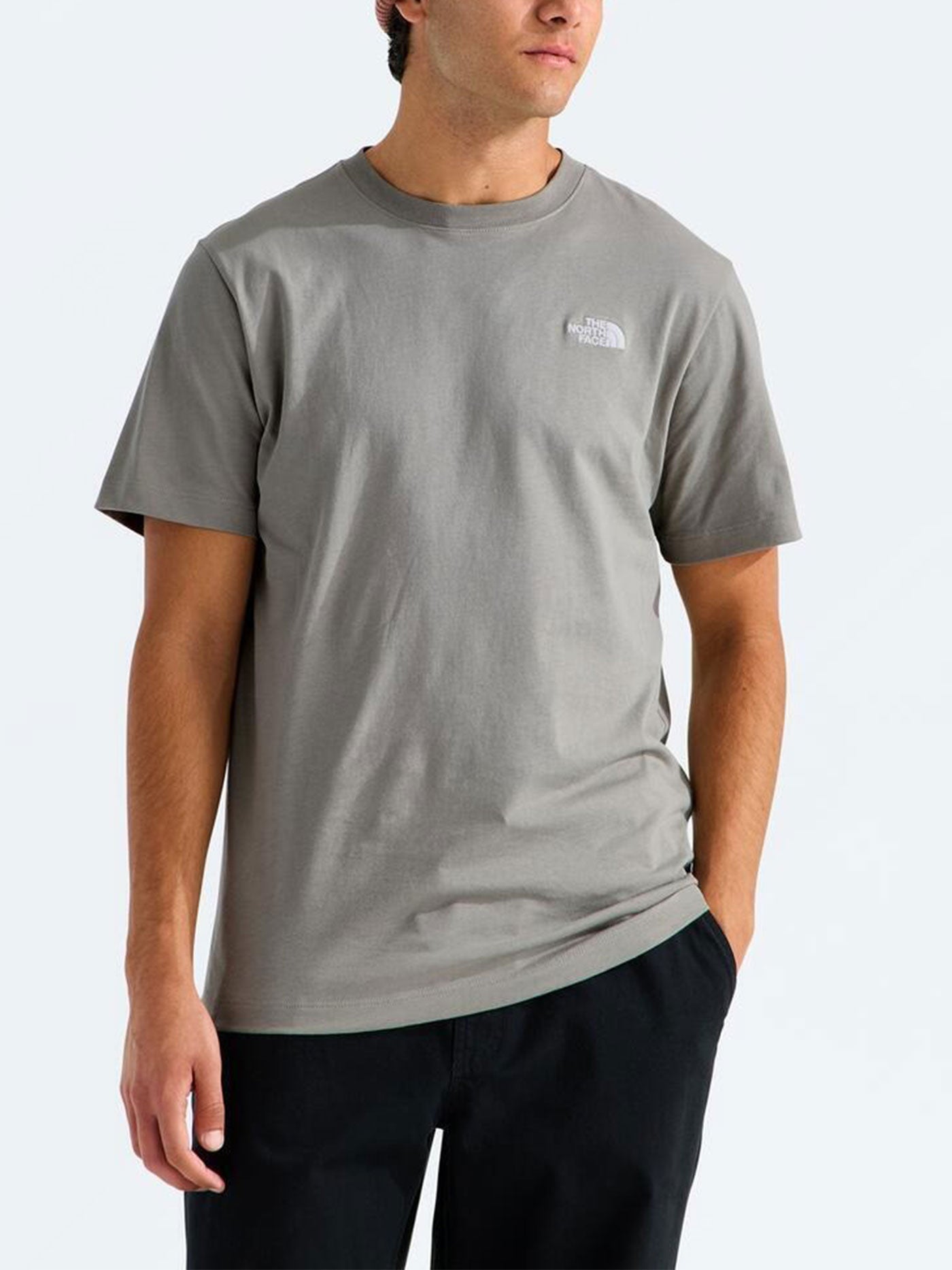 THE NORTH FACE EVOLUTION SIMPLE DOME REGULAR SST - Stone Slab
