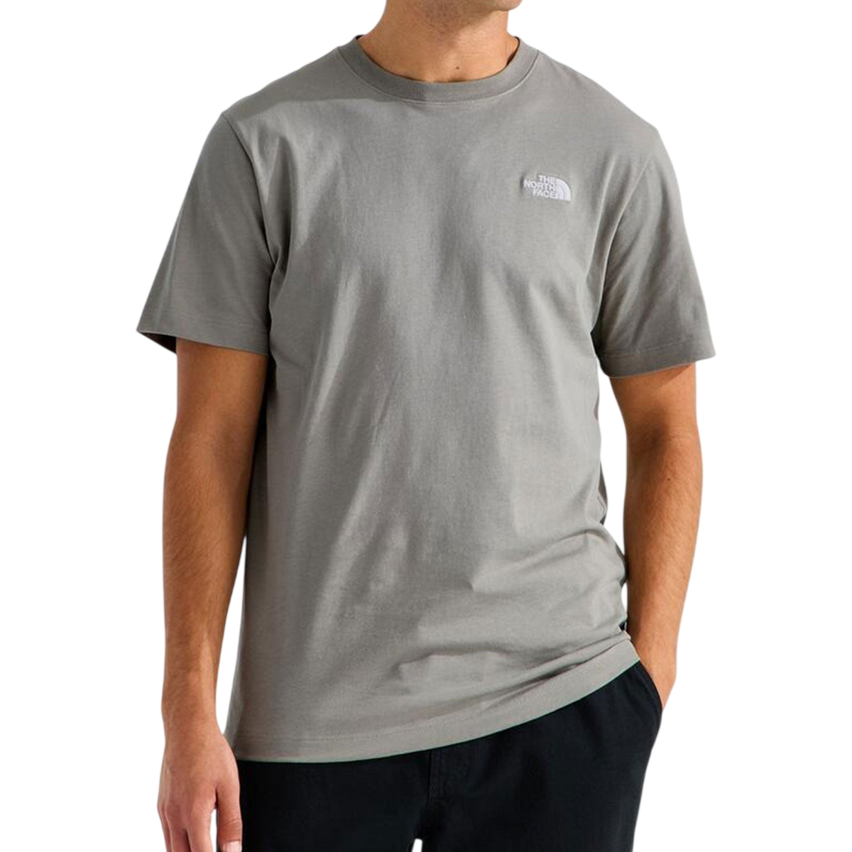 THE NORTH FACE EVOLUTION SIMPLE DOME REGULAR SST - Stone Slab