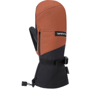 DAKINE TITAN GORE-TEX MITTS